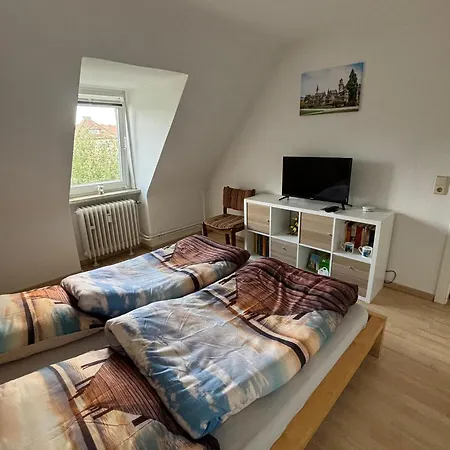 Kleiner Waschbaer * Kassel