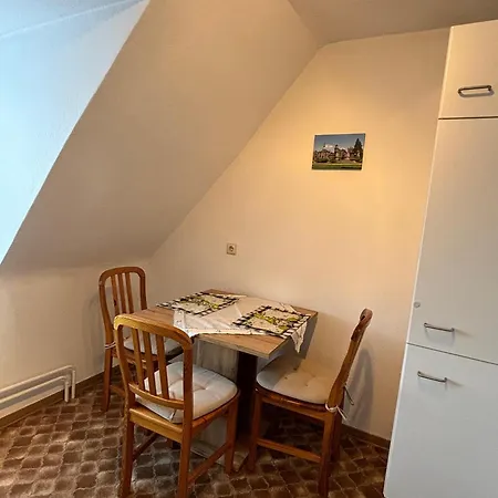 Kleiner Waschbaer * Kassel