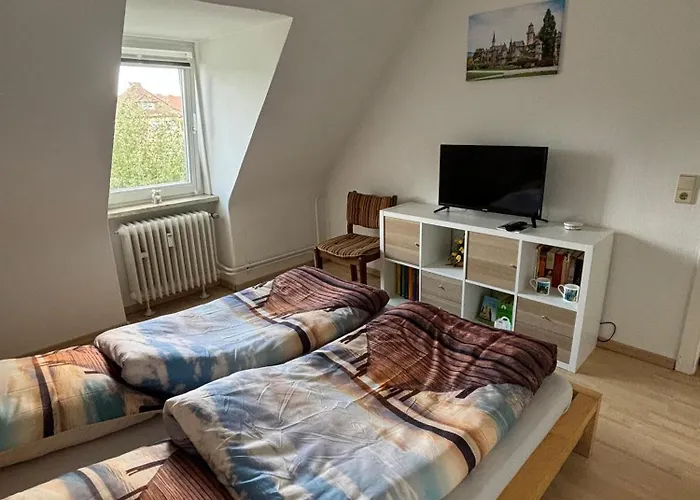 Kleiner Waschbaer * Kassel