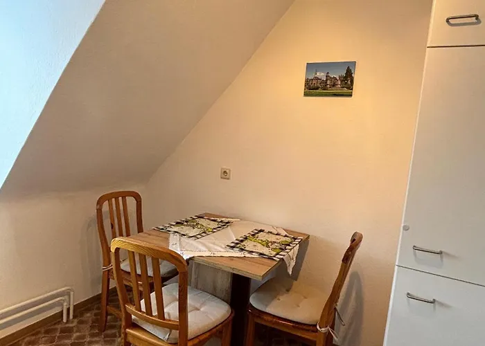 Kleiner Waschbaer * Kassel