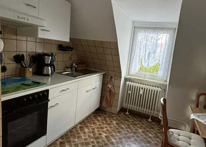Apartment Kleiner Waschbaer